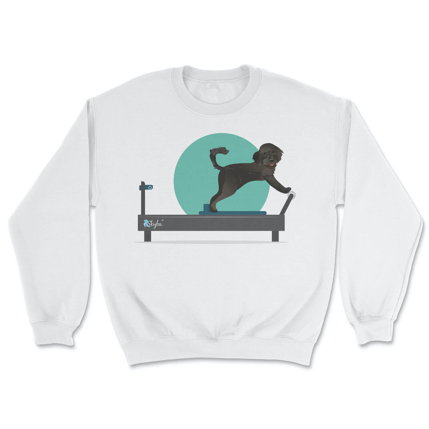 Black Doodle on Reformer - Cozy Crewneck Sweatshirt Skyba Sweatshirt