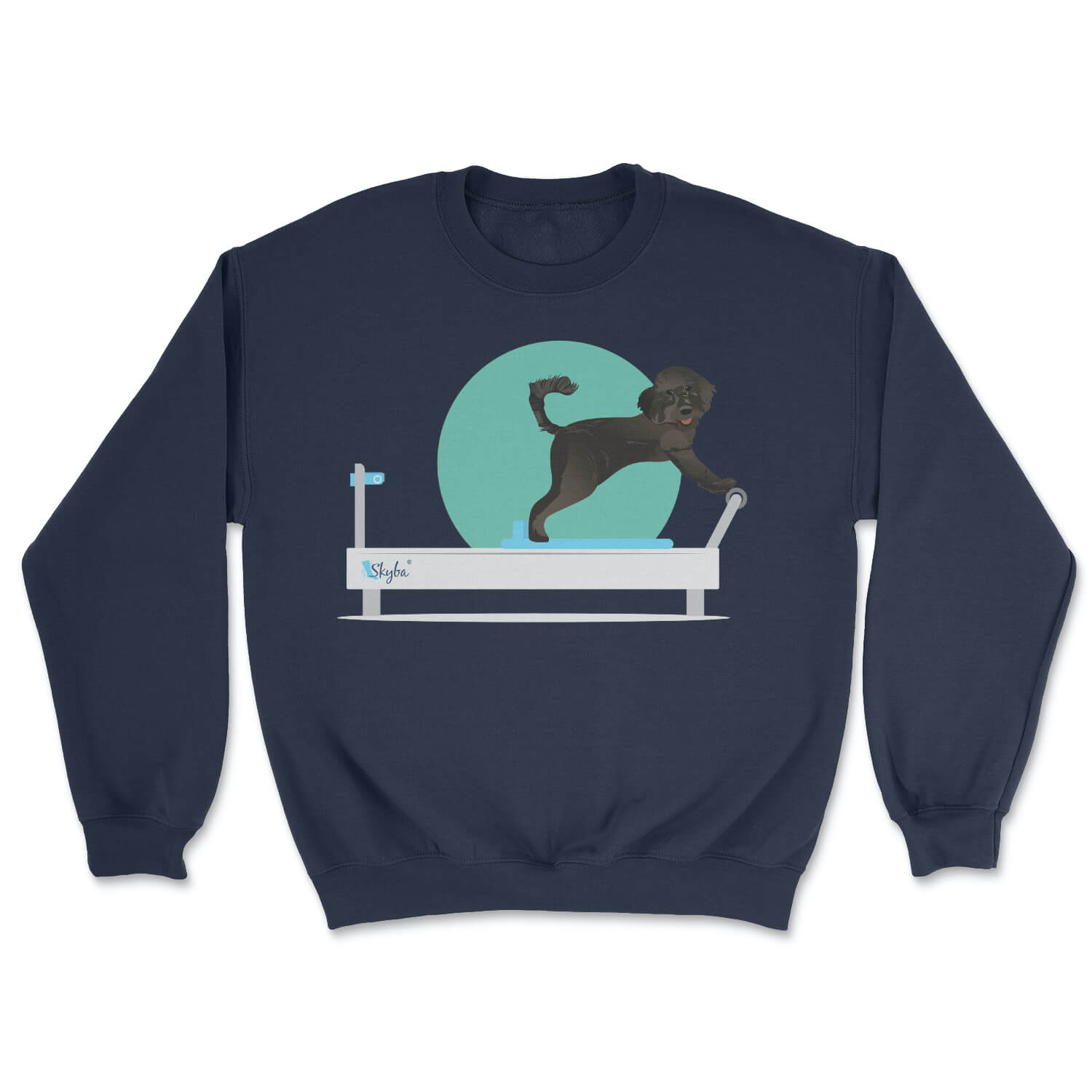 Black Doodle on Reformer - Cozy Crewneck Sweatshirt Skyba Sweatshirt