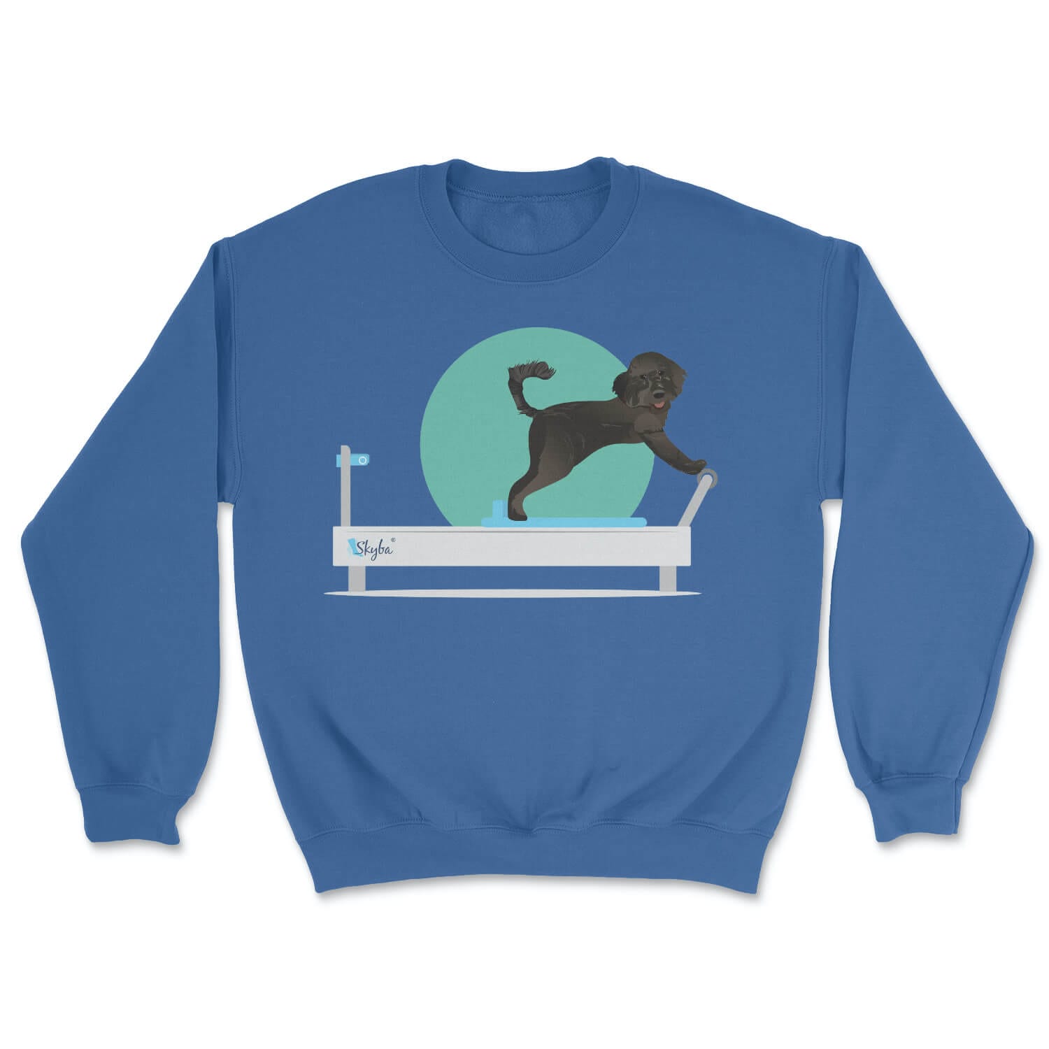 Black Doodle on Reformer - Cozy Crewneck Sweatshirt Skyba Sweatshirt